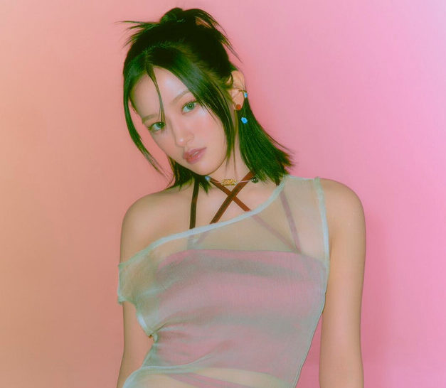 Fakta Yujin